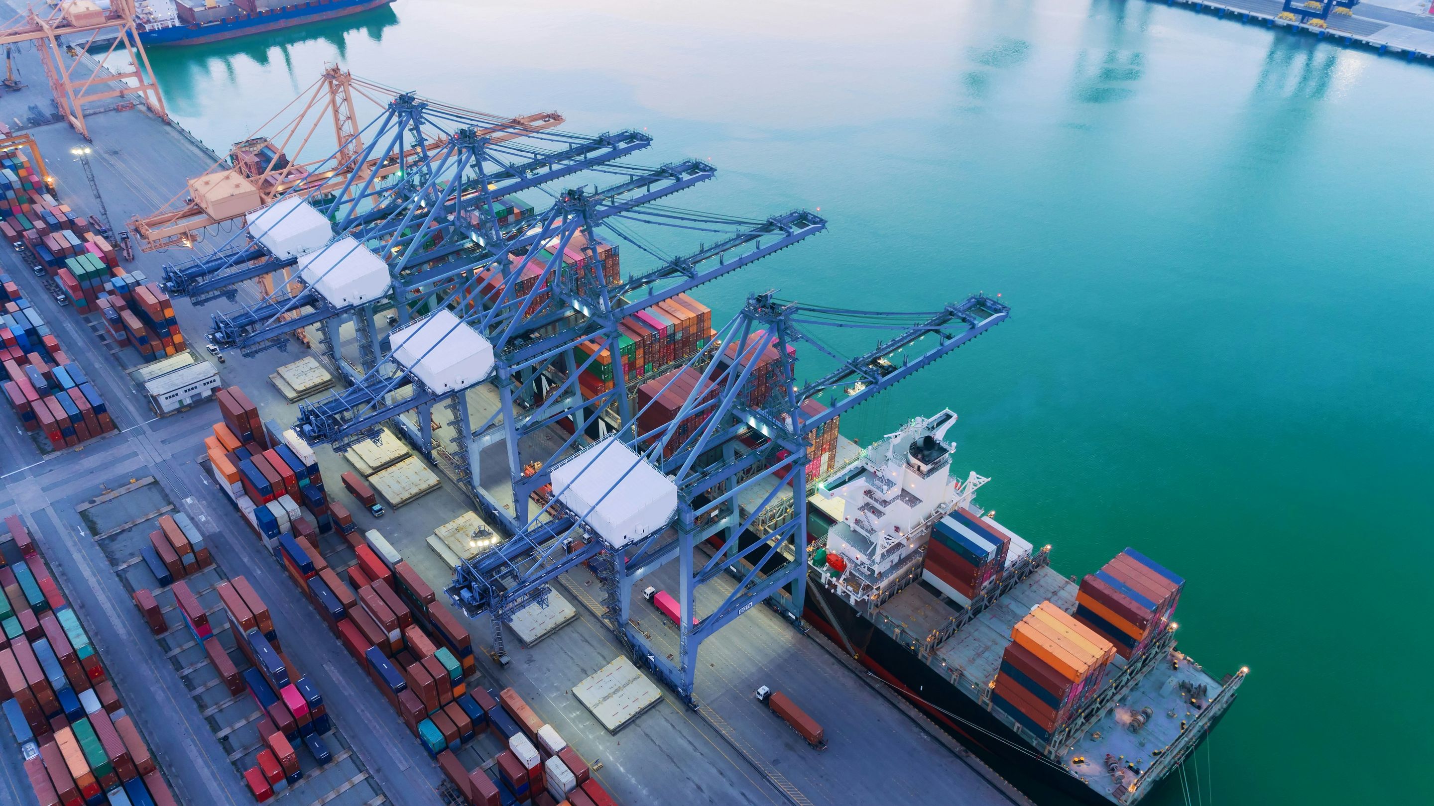 Which products and services will prosper in the New Normal?